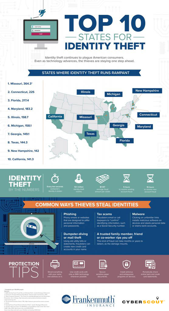 cyberscout_frankenmuth_10_states_infographic_vertical-556x1024